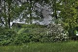 tannenfeld-sommer 2012-072